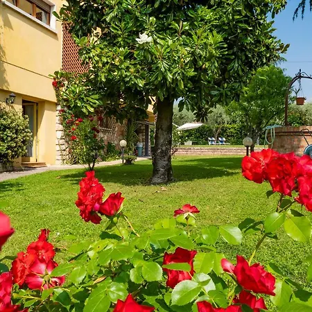Doda * Bardolino